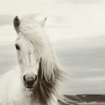 Profile picture of Patricia