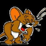 Profile picture of ROBIN ULIKAYE