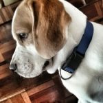 Profile picture of Maricon Baquiran