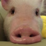 Profile picture of Kevin