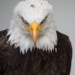 Profile picture of Reuben